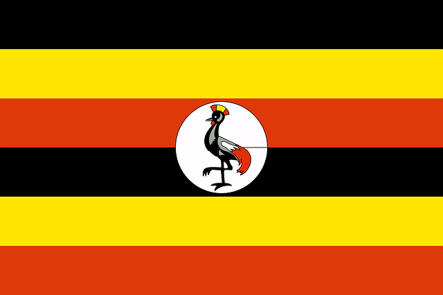 Biashara Africa Uganda (2)