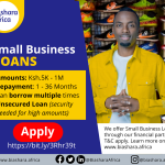 Small Business Loans Application