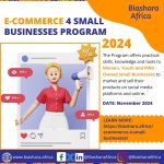 E-Commerce 4 Small Businesses Program 2024