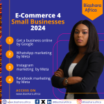 E-Commerce 4 Small Businesses Program 2024