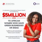 GRANT OPPORTUNITIES FOR SMALL BUSINESSES - Women Entrepreneurship for Africa (WE4A II)